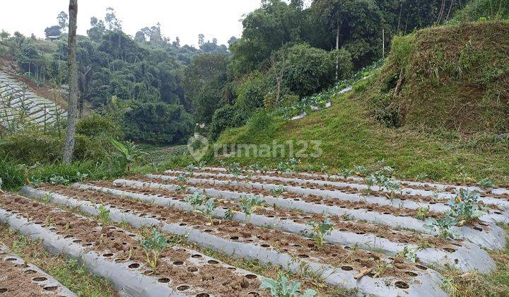 Murah Tanah Kavling di Kp. Cimeta Cisarua 1