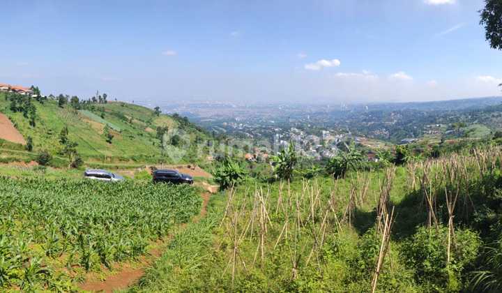 Cimenyan Land Above Forest Hill Can Build Villas