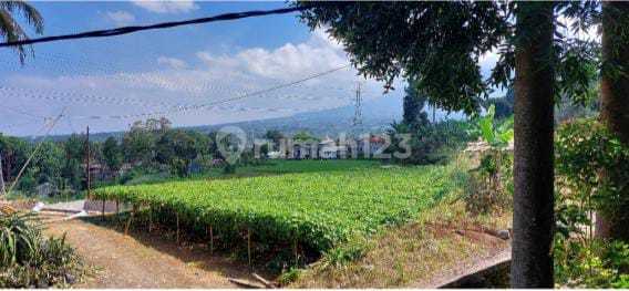 Tanah Jalur Provinsi Jalan Raya Puncak Cianjur Bogor 1