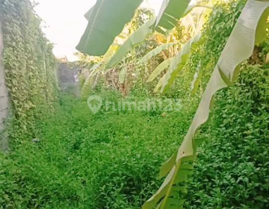 Land for Leasehold at Mainroad Batu Belig Cendrawasih Petitenget 1
