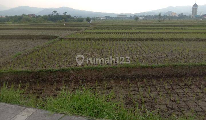 Disewakan Tanah Sawah di Gading Tutuka Soreang 2