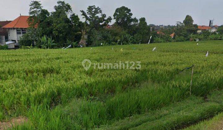 Disewakan Tanah di Area Sayap Raya Canggu 2