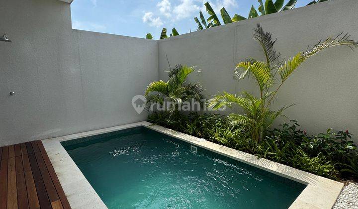 Villa Baru Full Furnished di Sunset Road Seminyak 1