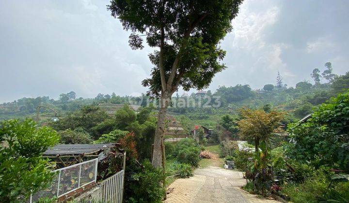 Cocok U Guest House Villa Bercocok Tanam Cigugur Girang Ciwaruga 2