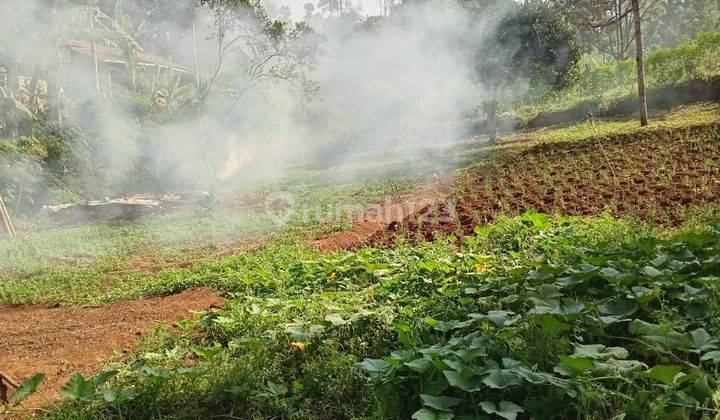 Dijual Tanah Kebun di Jatihandap Cimenyan 1