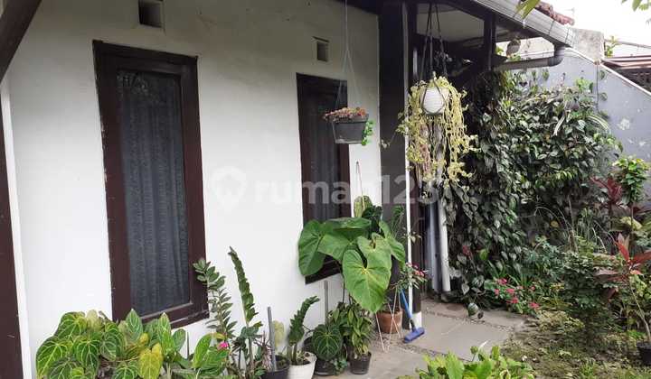 Rumah Klasik Homy di Kopo Permai Bandung 2