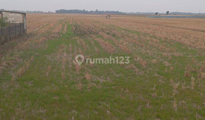 Murah Bawah Njop Tanah Pinggir Jalan Raya Tengah Kota Indramayu 2