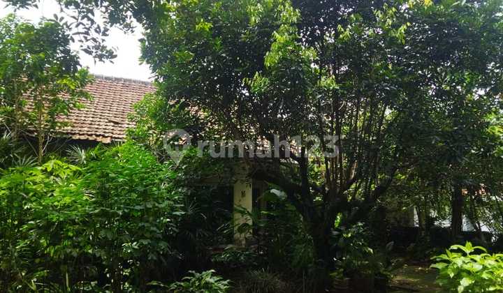 Rumah Asri Halaman Luas di Sayap Taman Sari