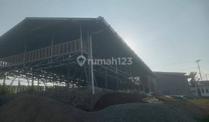 Kandang Ayam Petelur di Rancakalong Sumedang 2