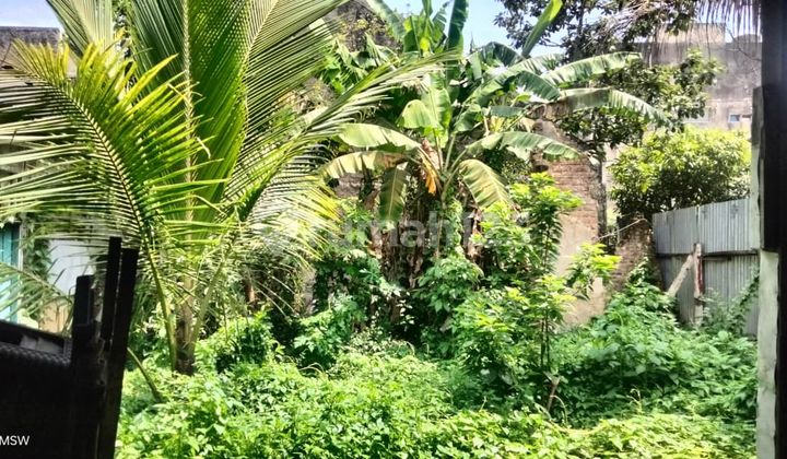 Tanah Tengah Kota Sayap Kalipah Apo Cocok Bangun Kos Kost