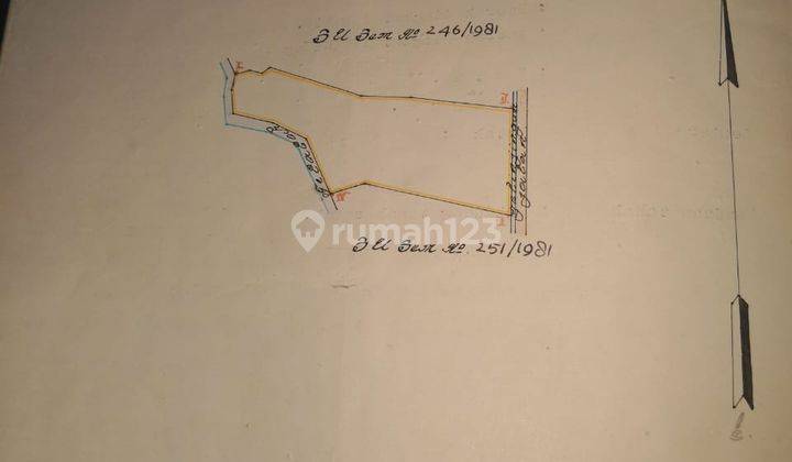 Disewakan Tanah di Area Sayap Raya Canggu 2