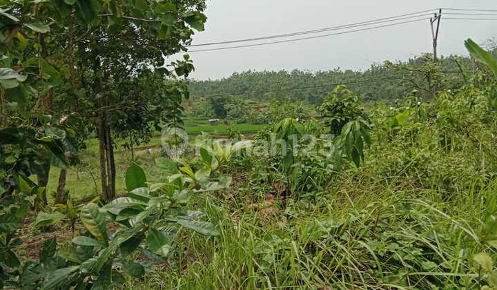 Tanah Cikadongdong Sukahurip Cijambe Subang
