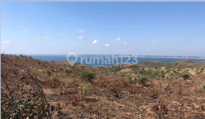 Affordable Land for Sale Ready to Build in Teluk Awang, Central Lombok, West Nusa Tenggara