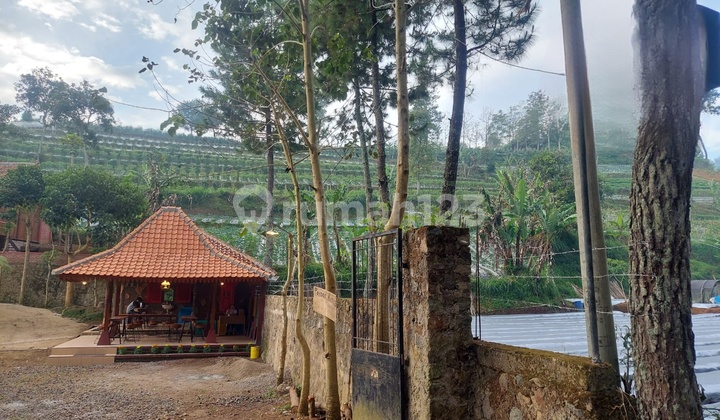 Dijual Murah Villa Aktif di Suntenjaya Lembang Bandung Dijual Murah Villa Aktif di Suntenjaya Lembang Bandung