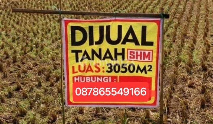 Tanah Di Mainroad Cileunyi Hanya 7.5jt / M2 1