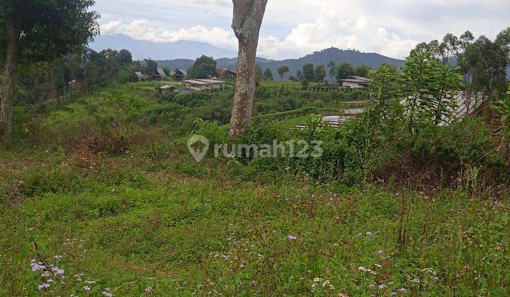 Dijual Lahan Perkebunan aktif strategis di Gambung Ciwidey 1