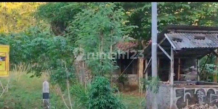 Dijual Tanah Pekarangan Tepi Jalan Baron Tepus Stategis Dijual Tanah Pekarangan Tepi Jalan Baron Tepus Stategis