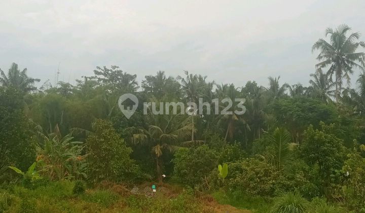 For Sale Land on Argrowisata Roadside Near RSUD Sleman For Sale Land on Argrowisata Roadside Near RSUD Sleman
