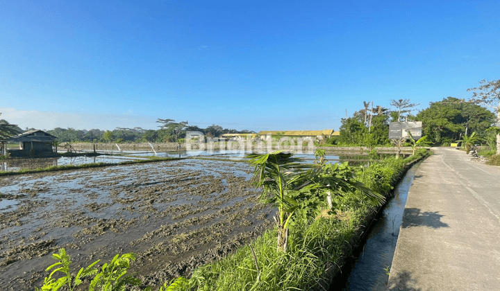 TANAH PANTAI NYANYI 3 MENIT DARI LUNA BEACH CLUB 1