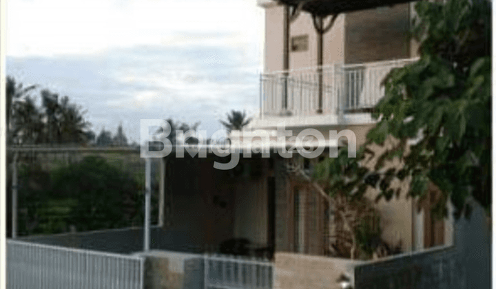 MODERN HOUSE IN CANGGU WITH ABADI RICE VIEW - 15 MINUTES FROM CANGGU BEACH 1