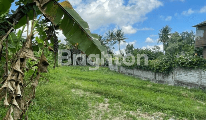 LONG TERM TANAH BERABAN SELANGKAH KE PANTAI NYANYI, COCOK UNTUK KOMPLEKS VILLA 1