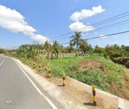 Dijual Tanah SHM Jalan Raya Sengkol Lombok NTB  2