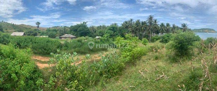 Dijual Tanah Kawasan Pantai Dondon Lombok NTB 1