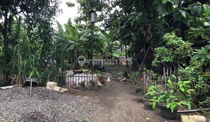 Dijual Murah Tanah Bonus Bangunan Lokasi SEMAMBUNG Juanda  2