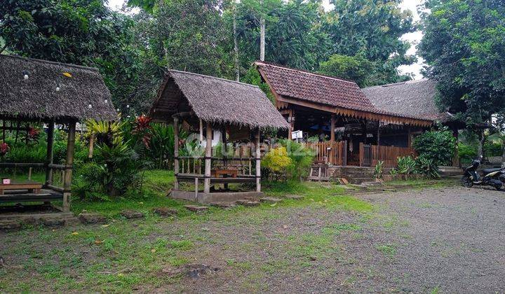 Dijual Tanah Plus Rumah Makan Jl Raya Ijen Banyuwangi Sudah SHM 1