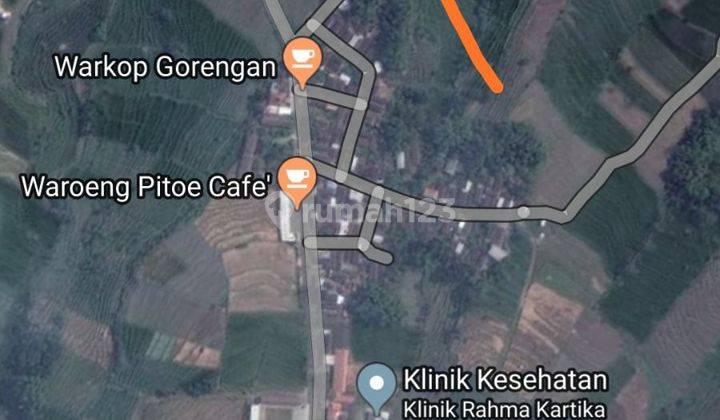 Dijual Tanah Pertanian Lokasi Mojokerto  2