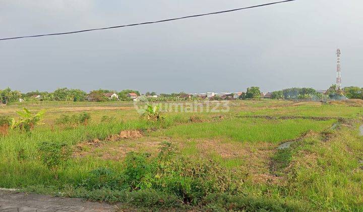 Dijual Tanah SHM 3 Hektar Lokasi Lingkar Timur Buduran 1