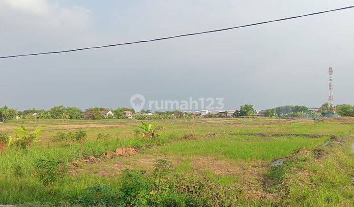 Dijual Tanah SHM 3 Hektar Lokasi Lingkar Timur Buduran 2