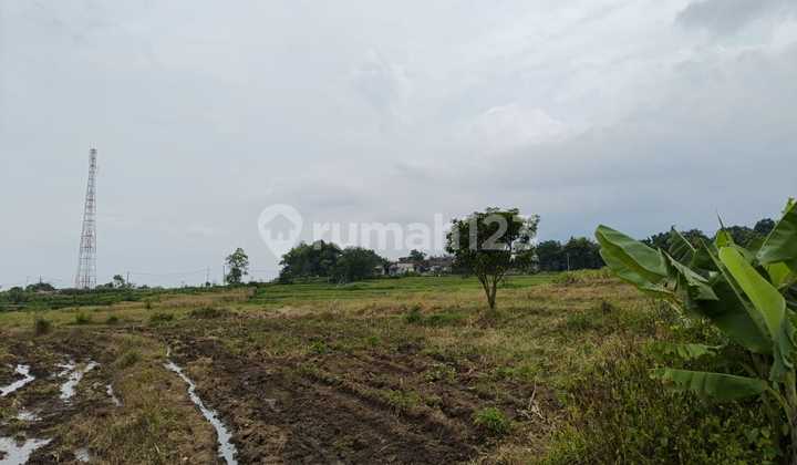 Dijual Lahan Sawah di Goa Gembyang Tanjung Kenongo Pacet Mojokerto