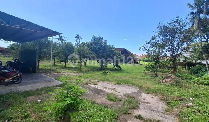 Vacant Land for Sale in Muncar Banyuwangi, Suitable for Warehouses, etc.