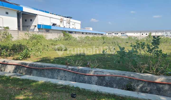 Dijual Via Lelang Tanah di Kawasan Industri Tuban Jawa Timur Dijual Via Lelang Tanah di Kawasan Industri Tuban Jawa Timur