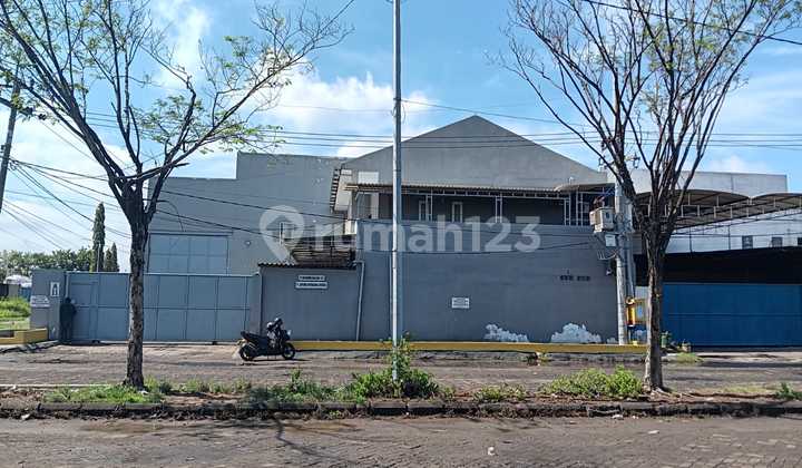 Cheap Sale Via Auction Warehouse in Bumi Maspion Romokalisari Surabaya Warehouse Complex