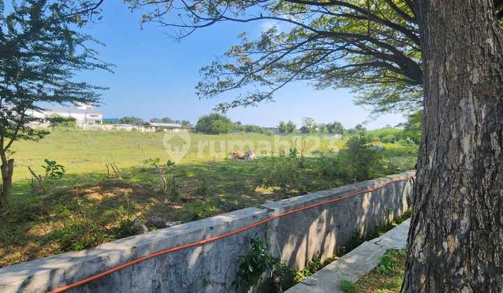 Dijual Via Lelang Tanah di Kawasan Industri Tuban Jawa Timur