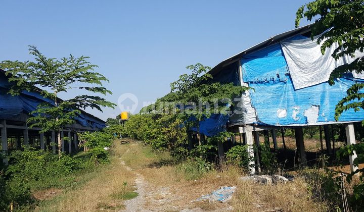 Dijual Murah Via Lelang Rumah dan Tanah di Magersari Tuban