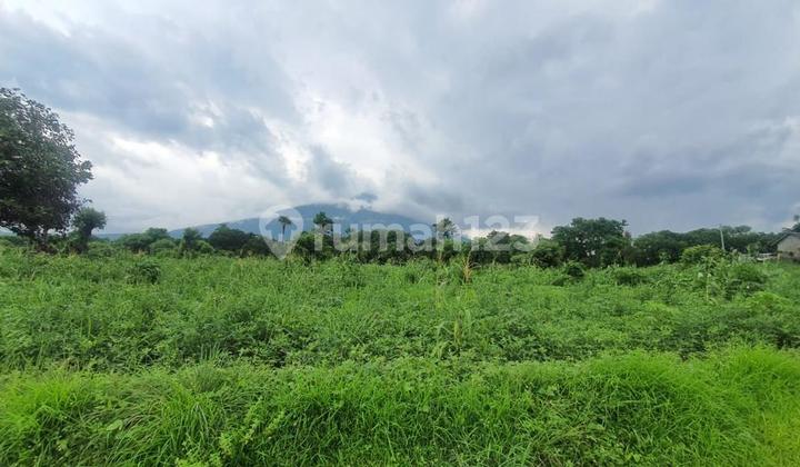 Land for Sale in Karangasem Bali. Negotiable Until Deal Land for Sale in Karangasem Bali. Negotiable Until Deal