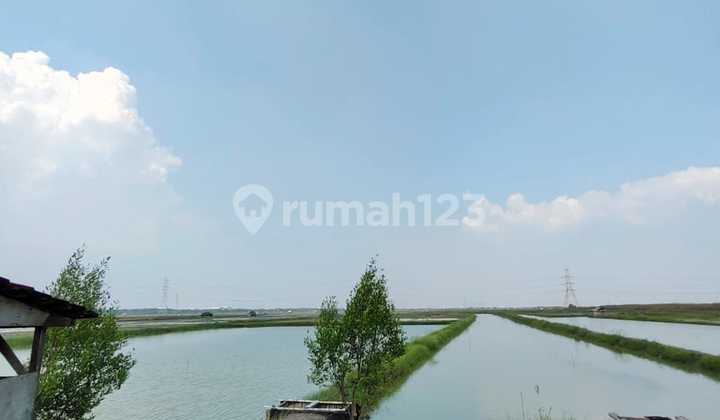 Land for Sale, Suitable for Warehouse or Factory on Jawar Benowo Main Road 0, Surabaya Land for Sale, Suitable for Warehouse or Factory on Jawar Benowo Main Road 0, Surabaya