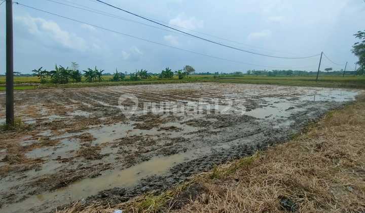 For Sale Via Auction, Cheap Land In Benjeng Gresik For Sale Via Auction, Cheap Land In Benjeng Gresik