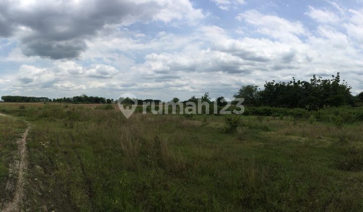 Strategic Land in Bojonegoro Suitable for Developers and Medium to Long-Term Investment. Strategic Land in Bojonegoro Suitable for Developers and Medium to Long-Term Investment.