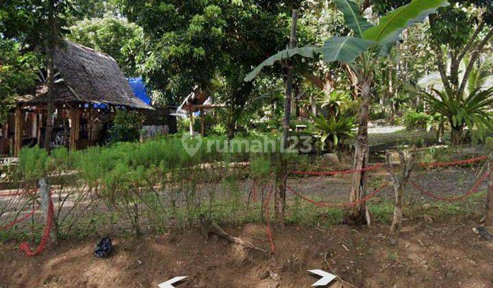 Tanah Dekat Jalur Domestik, Dekat Wisata Kawah Ijen 2