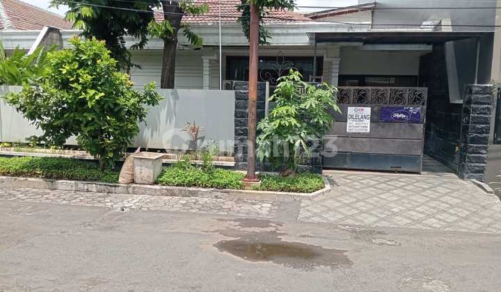 Dijual Via Lelang Rumah Kertajaya Indah Lokasi Dekat Kampus dan Lingkungan Elit Dijual Via Lelang Rumah Kertajaya Indah Lokasi Dekat Kampus dan Lingkungan Elit