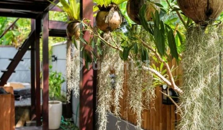 Villa Bergaya Japanese Di Munggu Lokasi Tangeb Badung Bali