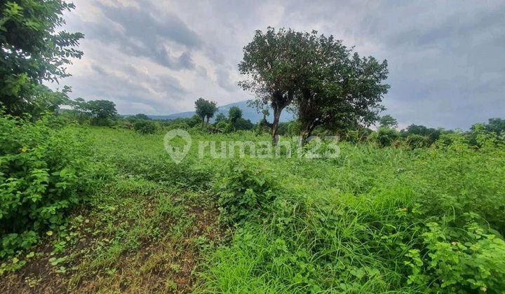 Land in Karang Asem Tulamben Bali Diving Spot Location Land in Karang Asem Tulamben Bali Diving Spot Location