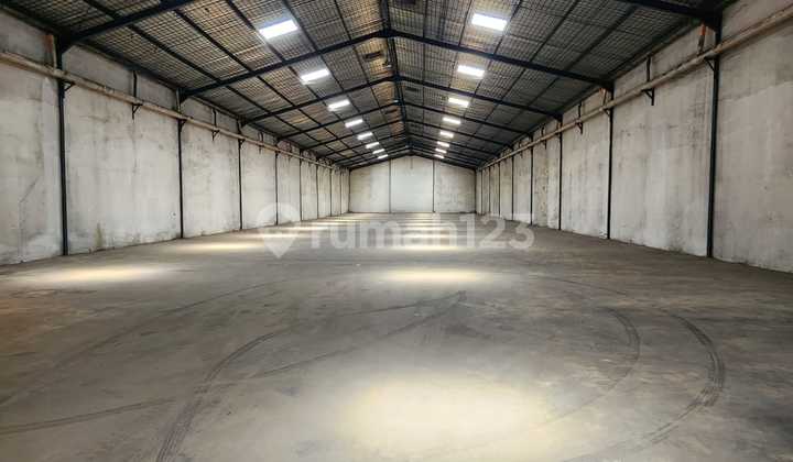 Ready-to-Use Warehouse Super Strong Building Strategic Location Ready-to-Use Warehouse Super Strong Building Strategic Location