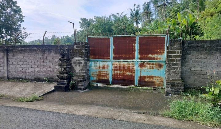 Auction Asset Warehouse in Jembrana Bali Strategic Location Auction Asset Warehouse in Jembrana Bali Strategic Location