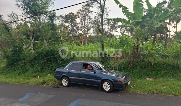 Tanah di Lawang Malang Cocok untuk Segala Jenis Usaha