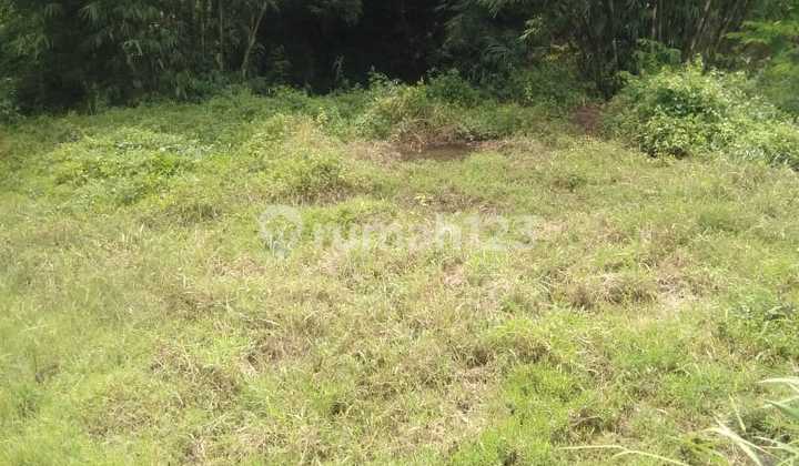 Tanah di Wagir Malang Cocok untuk Pertanian dan Usaha Lain Nya